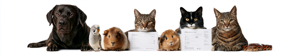 Emergency Pet Information Sheet download